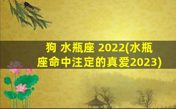 狗 水瓶座 2022(水瓶座命中注定的真爱2023)